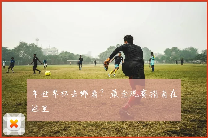 年世界杯去哪看？最全观赛指南在这里