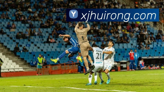 奖项证书